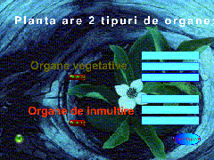 ORGANELE PLANTEI - Captura din Prezentare - APASA AICI PENTRU A DESCARCA FISIERUL !