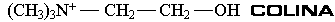 COLINA.gif (546 bytes)
