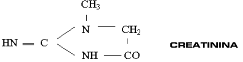 CREATININA.gif (4521 bytes)