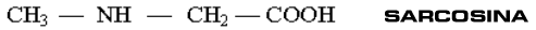 SARCOSINA.gif (3176 bytes)