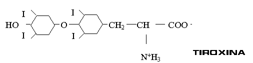 TIROXINA.gif (2152 bytes)